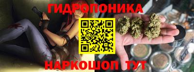 ПСИЛОЦИБИНОВЫЕ ГРИБЫ Новодвинск