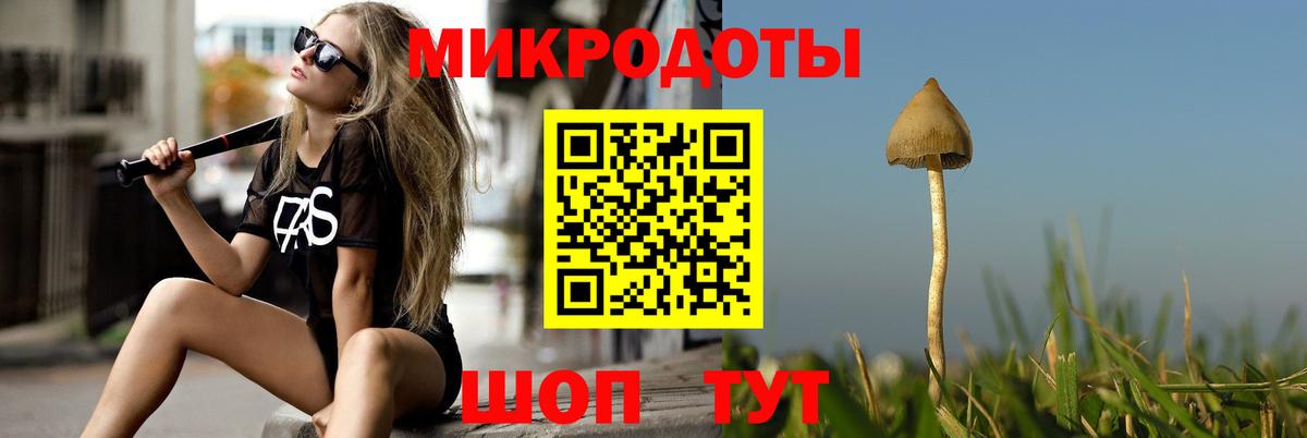 Псилоцибиновые грибы Psilocybe  Вход с VPN  Псилоцибиновые грибы Psilocybine cubensis  Сызрань 